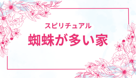 蜘蛛のスピリチュアル意味とは？家の中に蜘蛛が多い・大きい蜘蛛が出る時の注意点5選