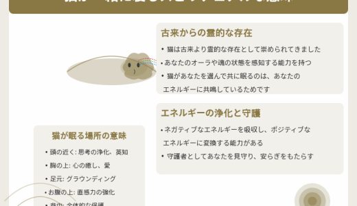 猫が一緒に寝るスピリチュアルな意味とは？位置によっても違う？