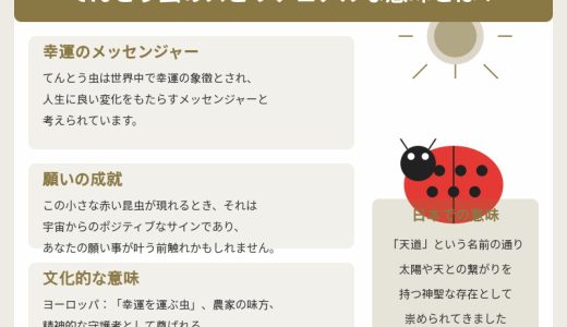 てんとう虫のスピリチュアルな意味を徹底解説！色や行動で運気アップ？