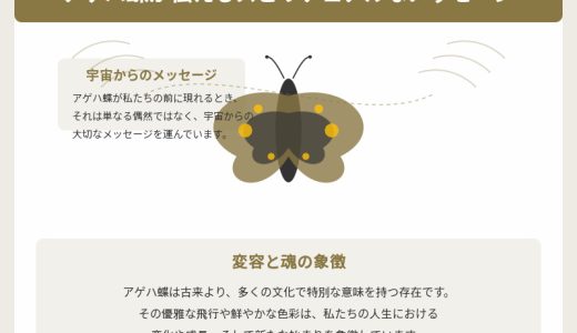 アゲハ蝶のスピリチュアルな意味を徹底解説！色別の幸運の象徴