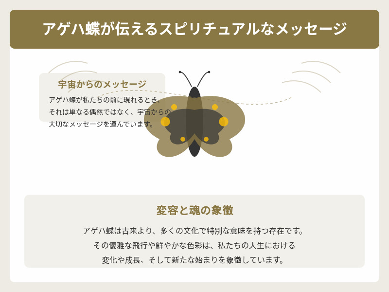 アゲハ蝶が伝えるスピリチュアルなメッセージ