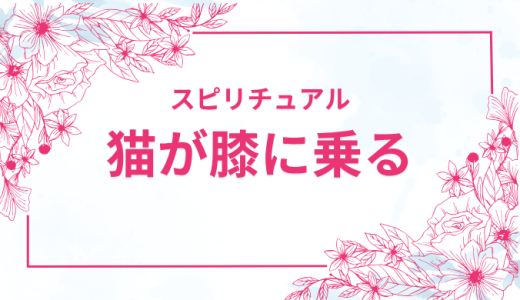 猫が膝に乗ってくるスピリチュアルサイン！注意すべき事実とは？