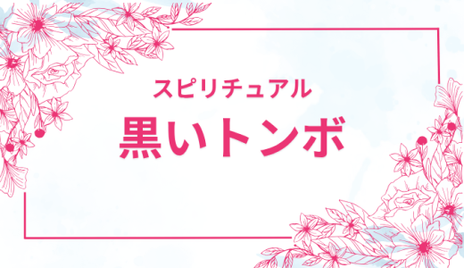 幸運の黒いトンボが示すサインとは？スピリチュアル解説【保存版】